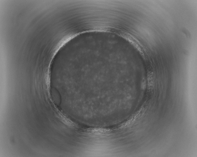 X0000115291077200912141051