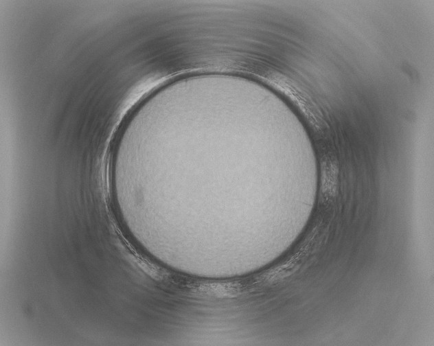 X0000115291078200912141051