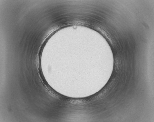 X0000115291082200912141051