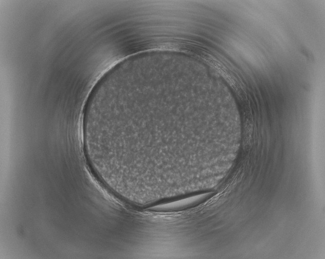 X0000115291084200912141051