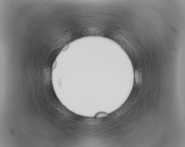 X0000115291107200912141050