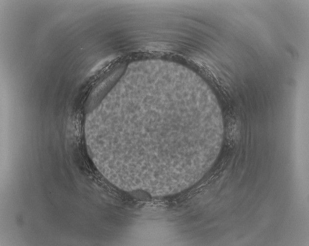 X0000115291110200912141050