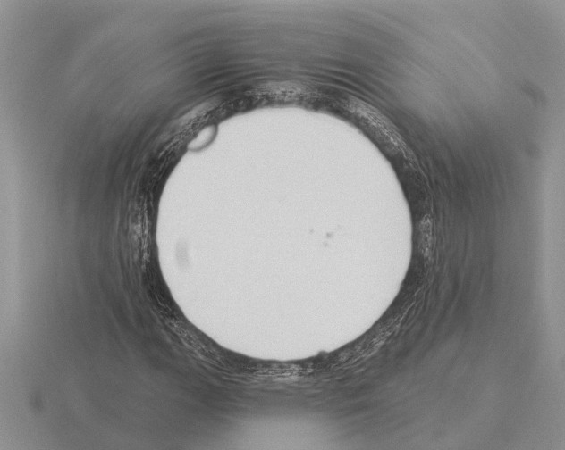 X0000115291111200912141050