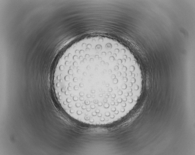 X0000115291113200912141050