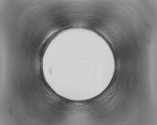 X0000115291115200912141050