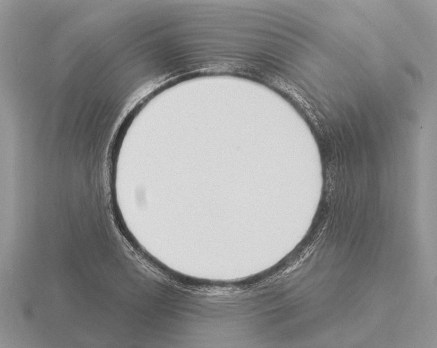 X0000115291122200912141050