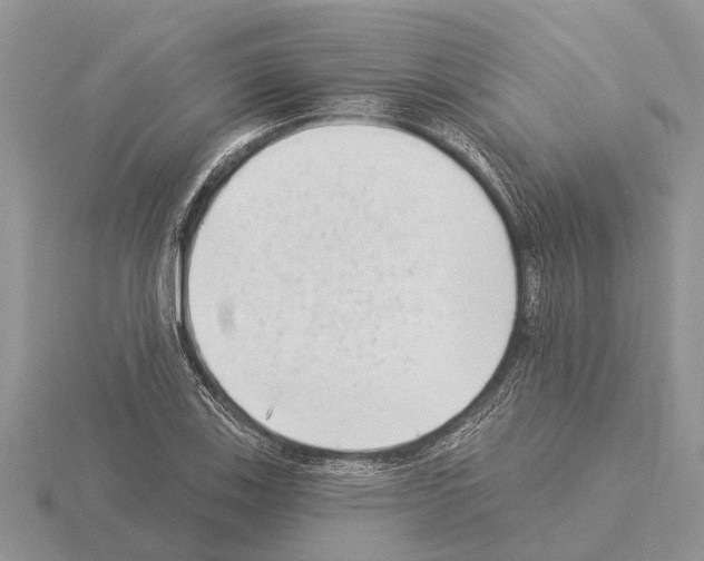 X0000115291123200912141050