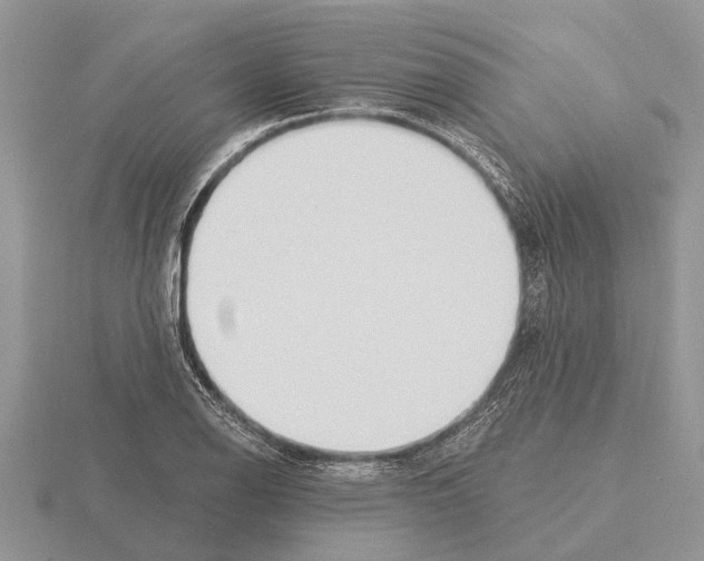X0000115291126200912141050