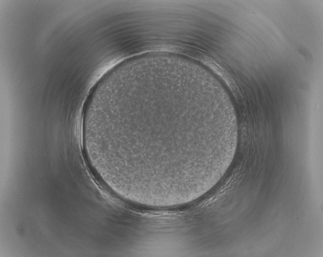 X0000115291127200912141050