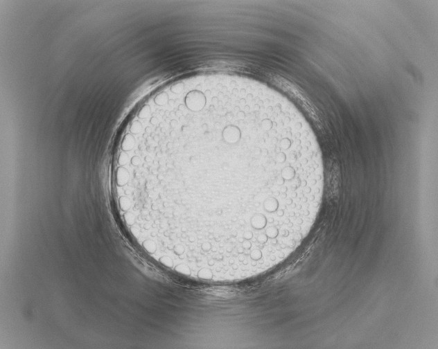 X0000115291130200912141050
