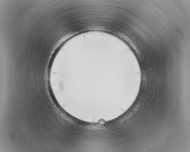 X0000115291133200912141050