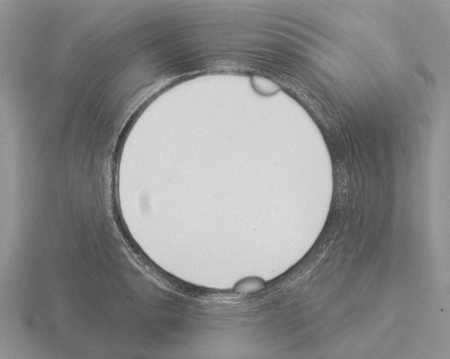 X0000115291134200912141050
