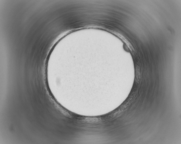 X0000115291142200912141050