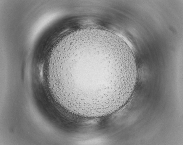 X0000115291150200912141050