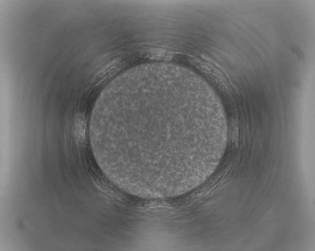 X0000115291154200912141050