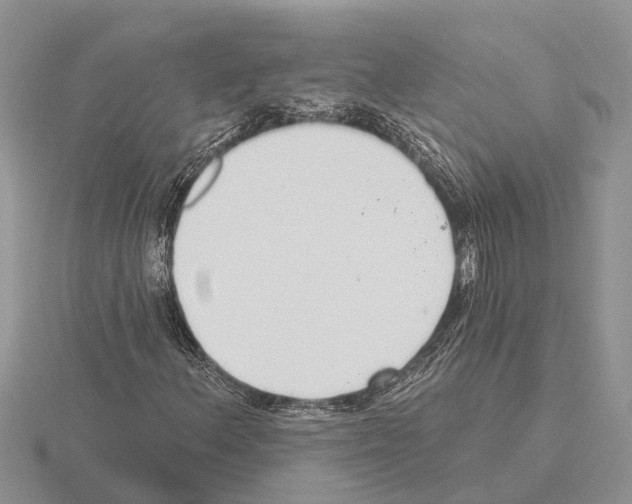 X0000115291156200912141049