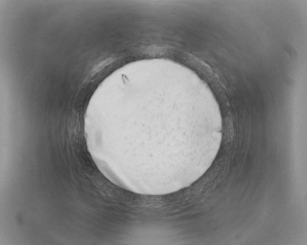 X0000115291158200912141049