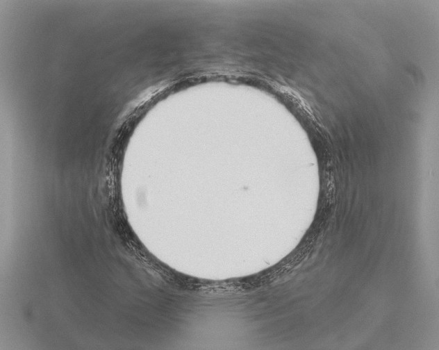 X0000115291159200912141049