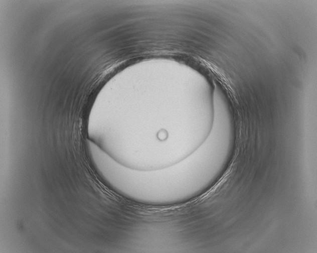 X0000115291161200912141049