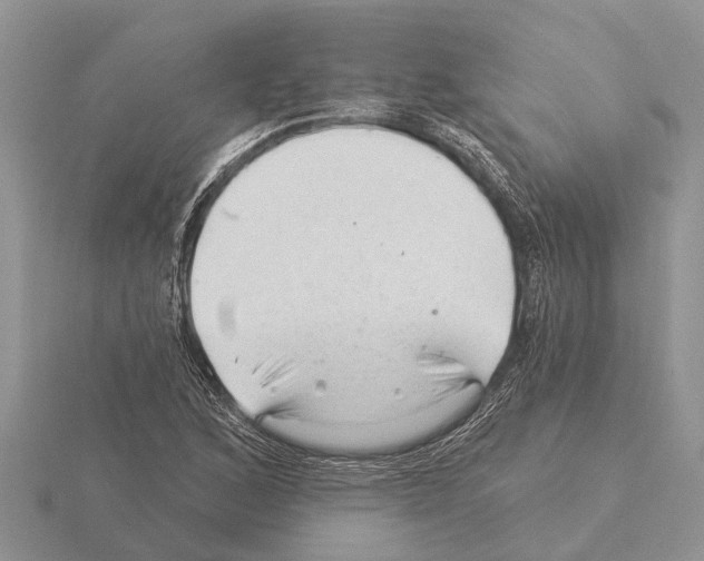 X0000115291168200912141049