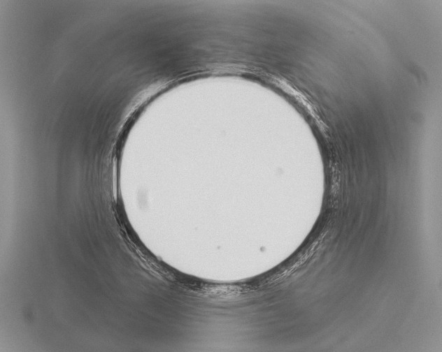 X0000115291171200912141049