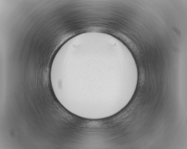 X0000115291178200912141049