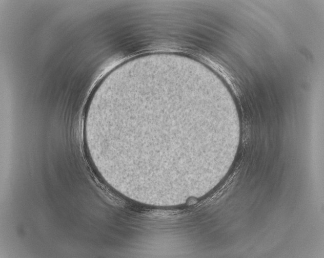 X0000115291179200912141049
