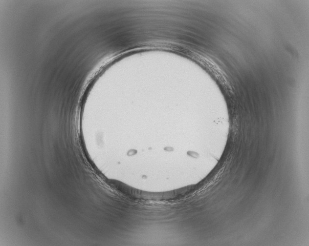 X0000115291180200912141049