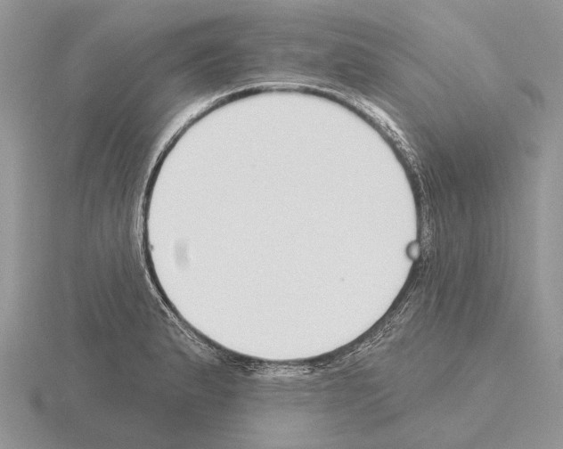 X0000115291183200912141049