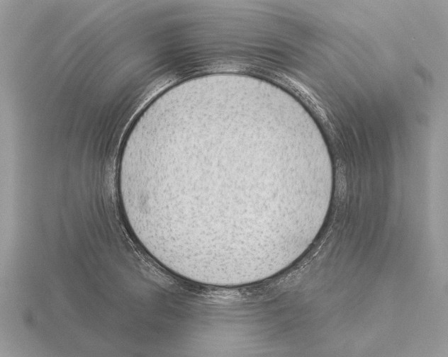 X0000115291186200912141049