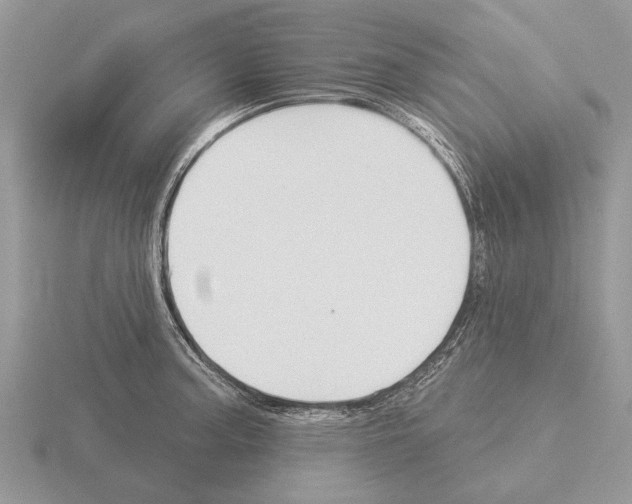 X0000115291187200912141049
