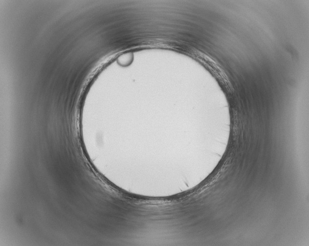 X0000115291188200912141049