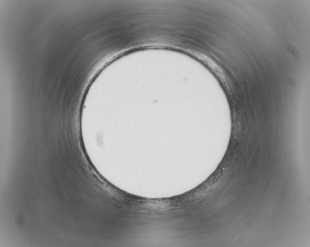X0000115291191200912141049