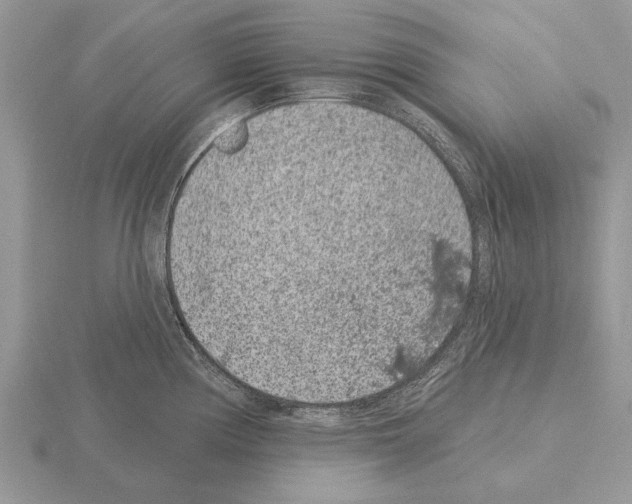 X0000115291194200912141049