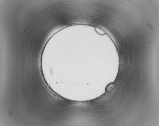 X0000115291195200912141049