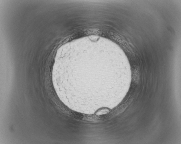 X0000115291201200912141048