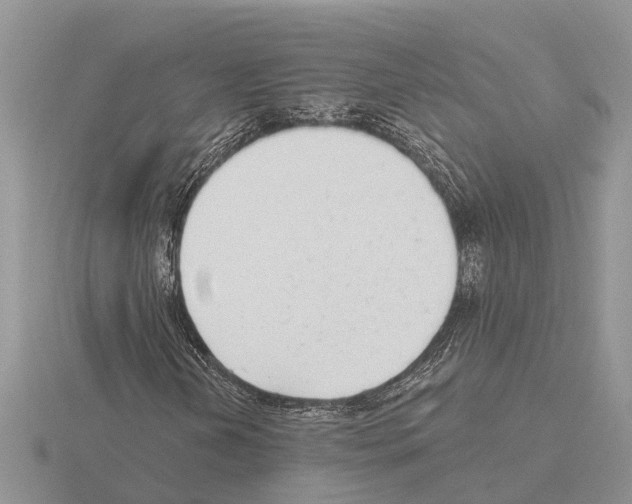X0000115291202200912141048