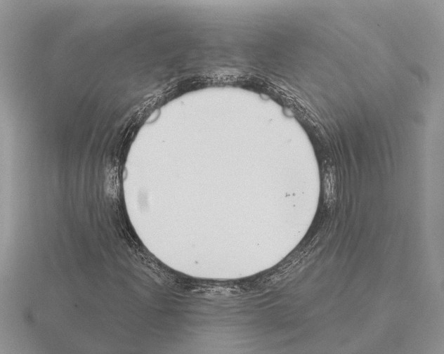 X0000115291204200912141048