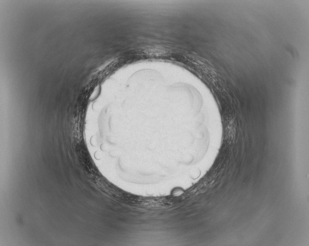 X0000115291205200912141048