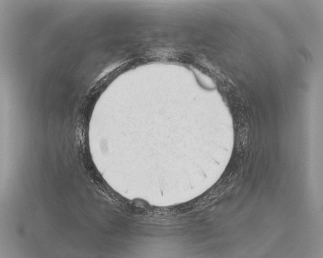 X0000115291206200912141048