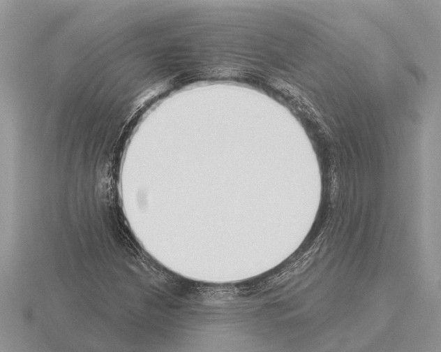 X0000115291210200912141048