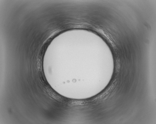 X0000115291211200912141048