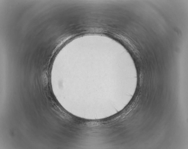 X0000115291212200912141048