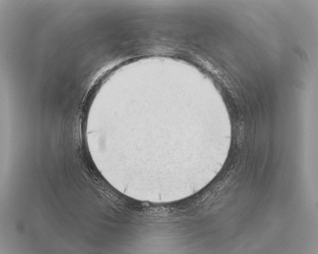 X0000115291214200912141048