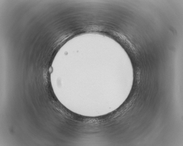 X0000115291217200912141049