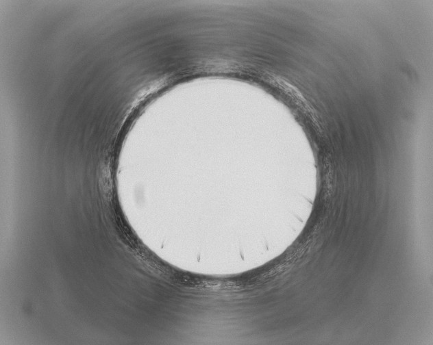 X0000115291218200912141049