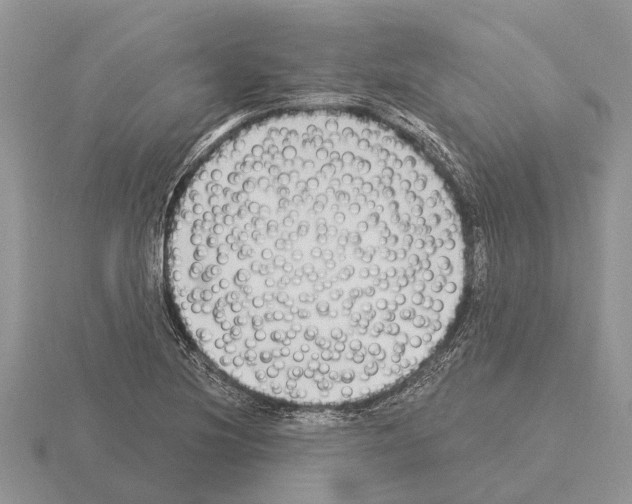 X0000115291220200912141049