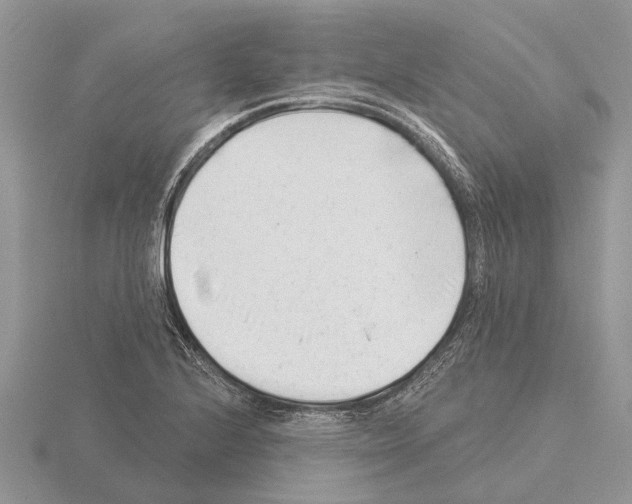 X0000115291224200912141049