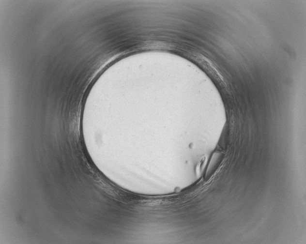 X0000115291228200912141049