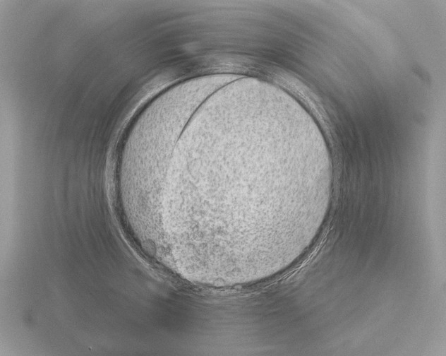 X0000115291235200912141049